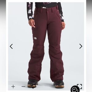 North face Women's Freedom Insulated Pant